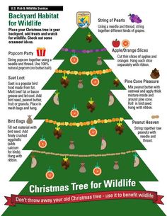 the christmas tree for wildlife info sheet