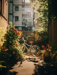 a bicycle is parked in the middle of an alleyway with flowers growing on both sides