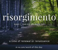 an image of a forest with trees and the words reisorgmento on it