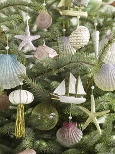 a christmas tree decorated with seashells and starfish ornaments in pastel colors