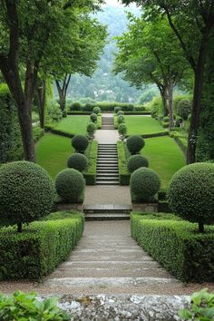 an outdoor garden with steps leading up to the topiary and trimmed bushes on either side