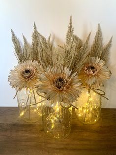 three glass vases filled with dried flowers and lights