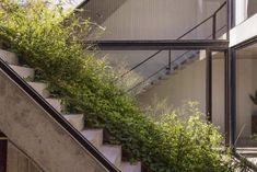 the stairs lead up to the second floor and are covered in green plants on either side