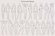 a line drawing of various female body shapes