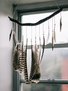 three feathers hanging from a branch in front of a window