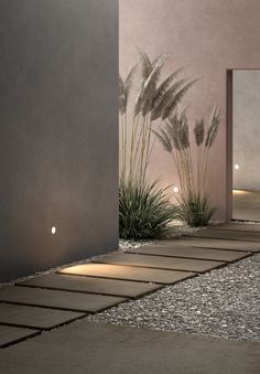 an empty room with some plants and lights on the wall next to it, in front of a mirror