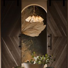 a bowl with plants in it sitting on a table next to a wall mounted mirror