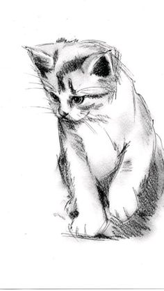 a black and white drawing of a cat sitting on the ground with its paw up