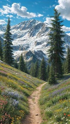 a dirt path leading to a mountain covered in snow