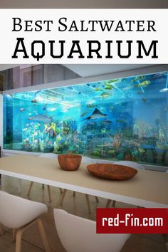 the best saltwater aquarium in red - fin com's new showroom is here