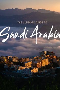 the ultimate guide to sandi - araba