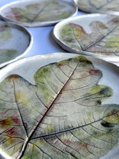 several plates with leaves painted on them are arranged in a pattern to look like they have fallen apart