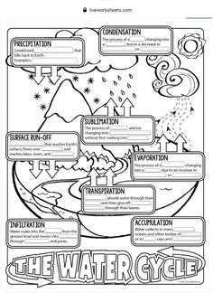 the water cycle worksheet for kids to learn how to use it in their classroom