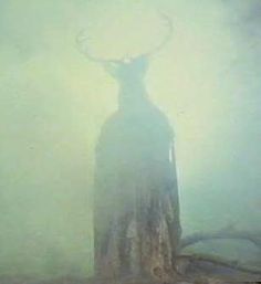 an animal standing in the middle of a foggy forest with antlers on it's head