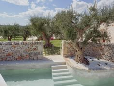 an outdoor swimming pool with steps leading up to it and olive trees in the background