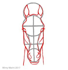 how to draw a horse's head