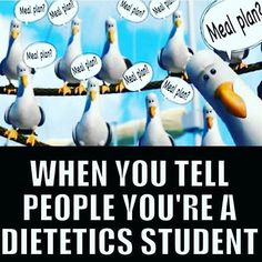 a bunch of birds sitting on top of a wire with speech bubbles above them that say, when you tell people you're a dietetic student