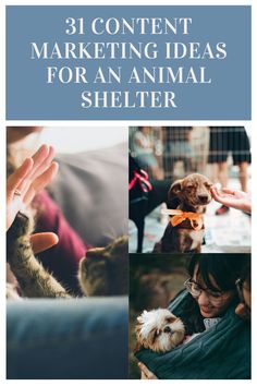 a collage of photos with the words 31 content marketing ideas for an animal shelter