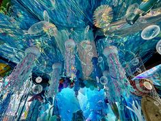 an underwater scene with jellyfishs and other marine creatures