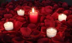 several lit candles surrounded by red petals