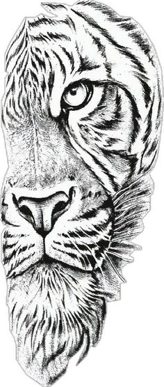 a black and white drawing of a tiger's face