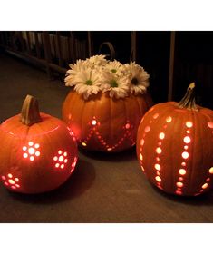 three lighted pumpkins sitting on the ground with flowers in each one's heads