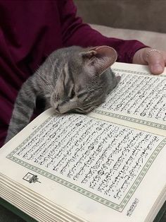 a cat sleeping on top of an open book with arabic writing written in it's pages