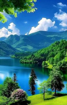 a lake surrounded by mountains and trees