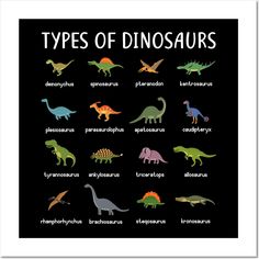 a poster with different types of dinosaurs on it's black backgroud