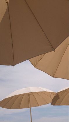 several open umbrellas on the beach with blue sky in the backgrounnd