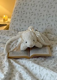 an open book on a bed with a stuffed animal laying in it's lap