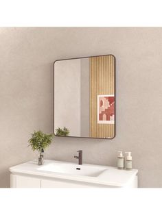 a bathroom sink with a mirror above it and a plant on the counter top next to it