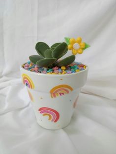 a potted plant with rainbows and flowers in it sitting on a white sheet