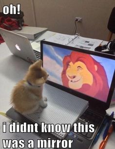 a small dog sitting on top of a laptop computer next to a lion face drawn on the screen