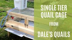 a chicken coop with the words single tier quail cage from dale's quails