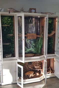 an image of a display case in the middle of a room with plants and other things on it