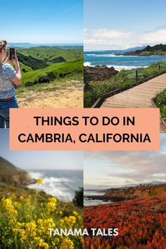 things to do in cambria, california