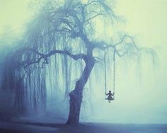 a person sitting on a swing in front of a large tree with fog hanging from it