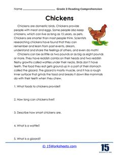 the worksheet for reading chickens