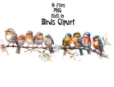 five birds sitting on a branch with the words, 8 files png boxes in birds'clipart