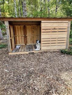 a dog house made out of pallets in the woods with a dog sitting inside