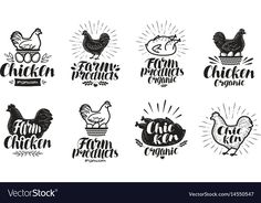 vintage chicken emblems and badges with hand drawn typogramic design elements in black and white