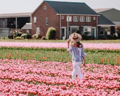 a woman in a hat walking through a field of pink tulips with houses in the background