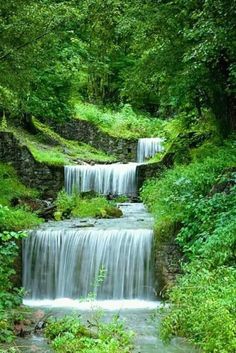 a small waterfall in the middle of a lush green forest