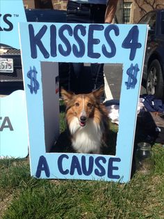 a dog is sitting in a cardboard box that says kisses 4 a cause