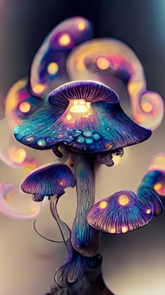 a group of mushrooms with lights on them