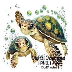 two sea turtles swimming in the water with bubbles around them and text that reads digital download