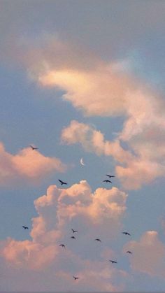 a flock of birds flying in the sky with clouds behind them at sunset or dawn