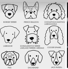 the different types of dogs with their names