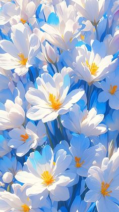 white and blue flowers with yellow centers in the sun